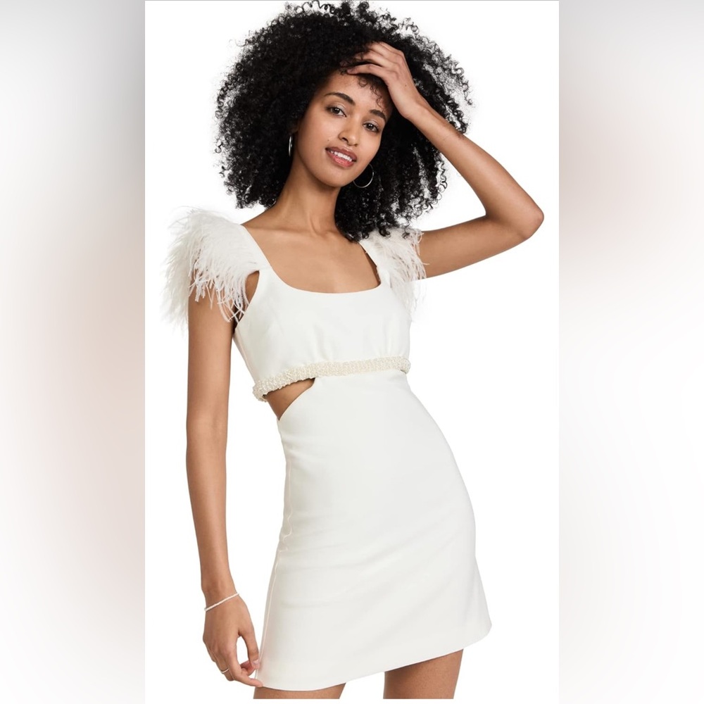 LIKELY Women's Mini Taliah Dress size 10, worn once - like new! 100% clean